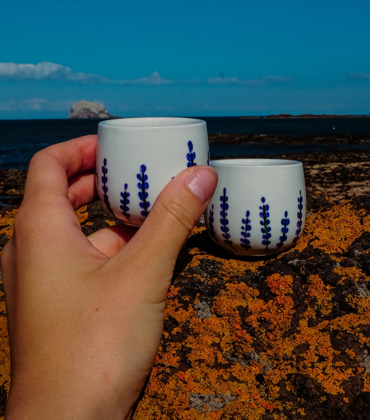 Egg Cups