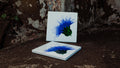 Scottish Thistle Square Ceramic Coasters x 4