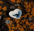 small mussel heart bowl