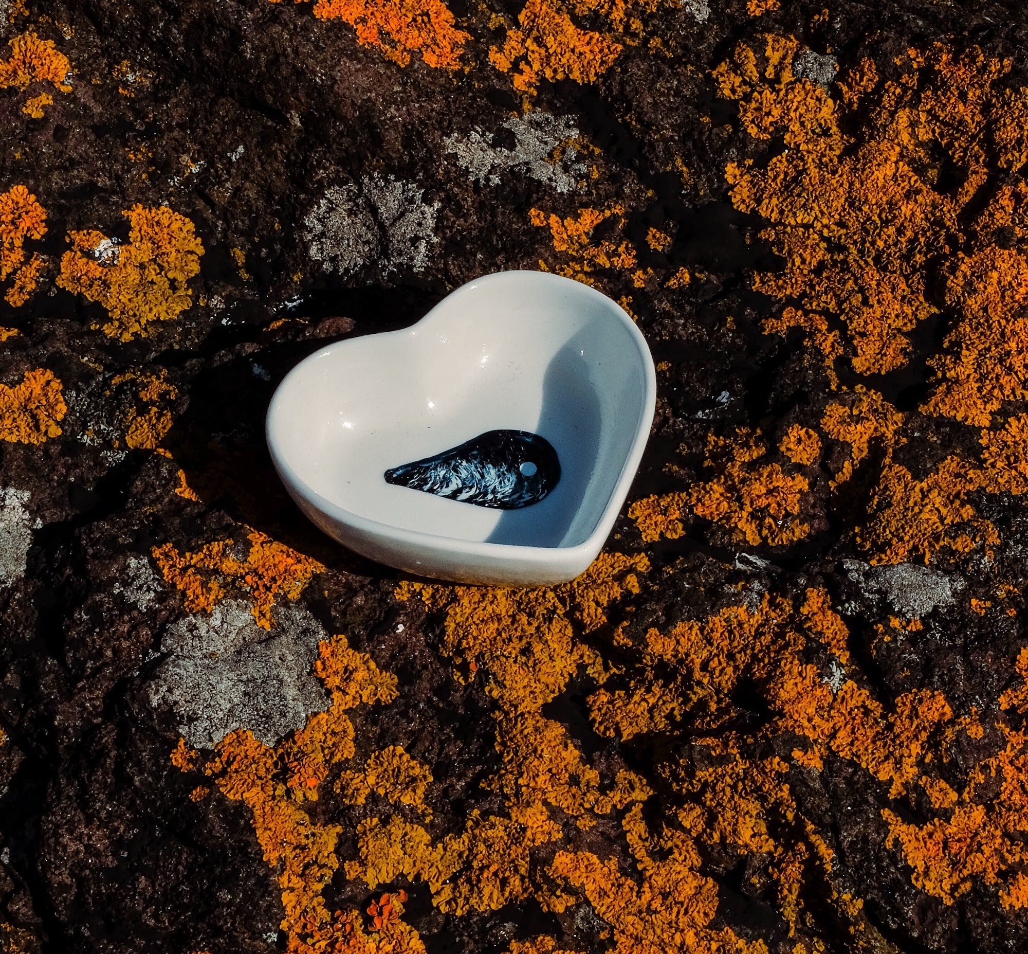 small mussel heart bowl