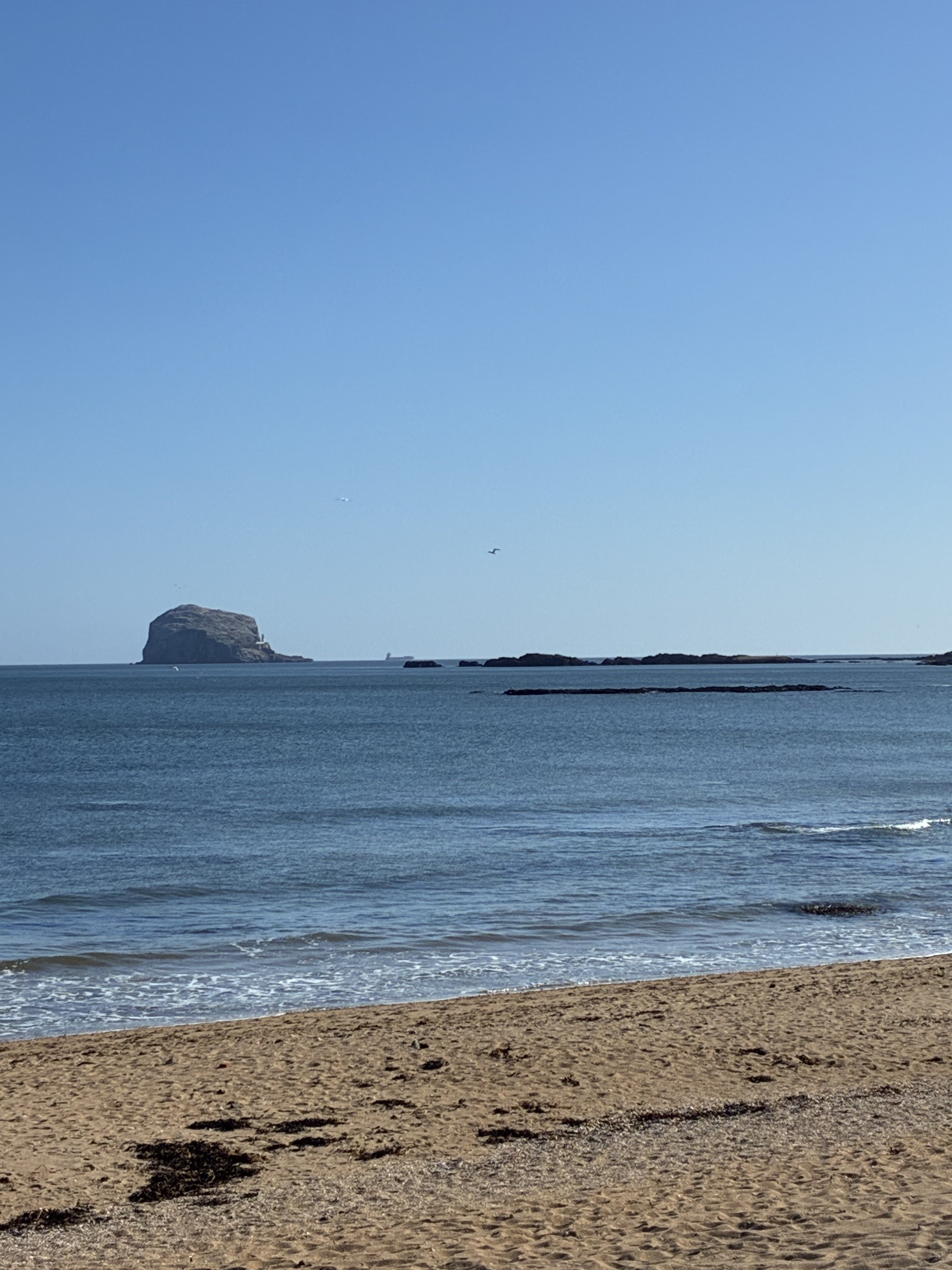 north berwick bass rock